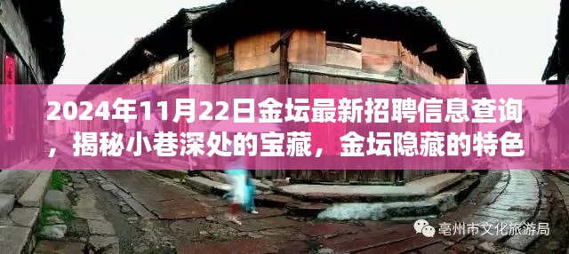 揭秘金壇隱藏特色小店與最新招聘信息奇遇記，2024年11月22日金壇招聘信息深度查詢