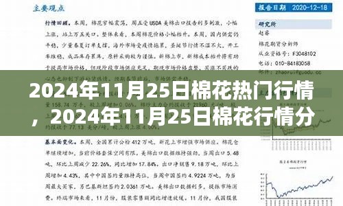 棉花行情深度解析，從入門到精通——2024年11月25日棉花行情指南