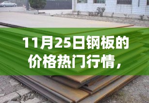 11月25日鋼板價(jià)格行情深度解析，市場波動(dòng)與多方觀點(diǎn)透視