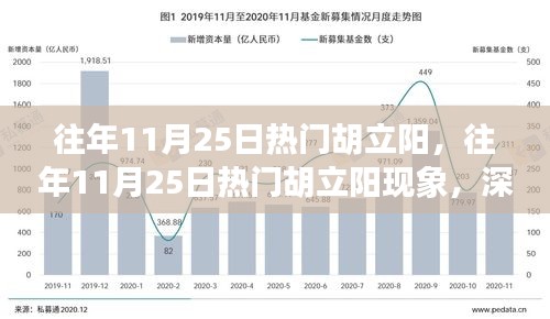 深度解析與觀點(diǎn)闡述，胡立陽現(xiàn)象——?dú)v年11月25日的熱門焦點(diǎn)