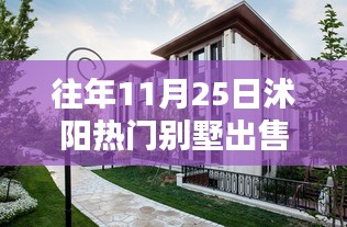 沭陽智能別墅，科技重塑居住品質，未來居住新體驗熱賣中