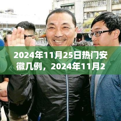 2024年11月25日安徽疫情最新熱點解讀，病例數(shù)量及防控措施