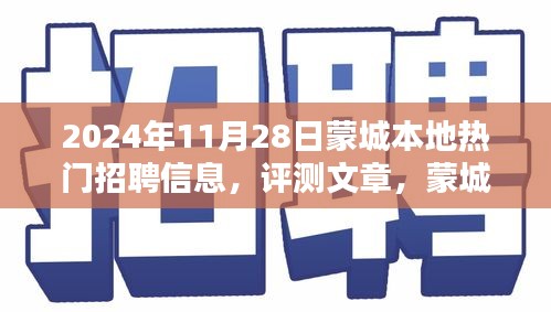 蒙城本地熱門招聘信息深度解析與評測報告（2024年11月28日）