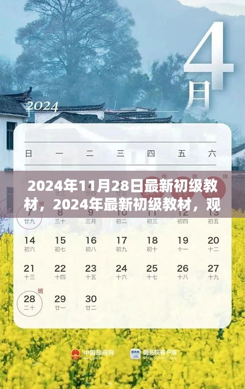 觀點闡述與深度分析，最新初級教材深度解讀（2024年最新版）