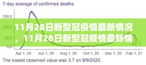 全面評測與深度解析，11月28日新冠疫情最新情況