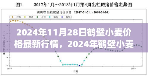 2024年鶴壁小麥價格最新行情及市場走勢分析，影響因素探討