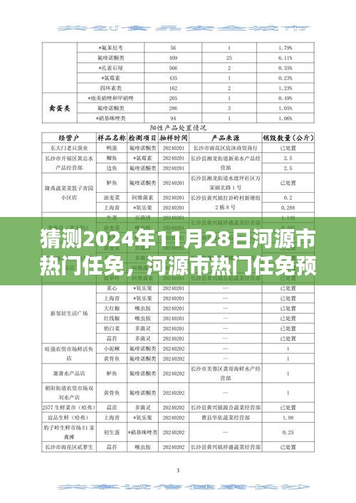 河源市熱門任免預(yù)測(cè)報(bào)告，揭秘2024年11月28日的人才動(dòng)向深度分析