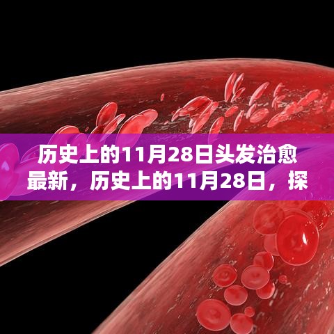 歷史上的11月28日，探尋頭發(fā)治愈的最新篇章??