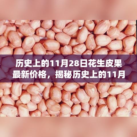 全方位解析，歷史上的11月28日花生皮果最新價格獲取與解讀步驟指南