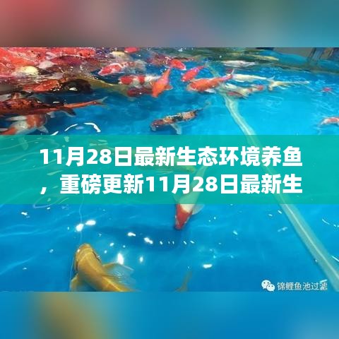 揭秘最新生態(tài)環(huán)境養(yǎng)魚秘籍，打造生態(tài)魚池新境界！