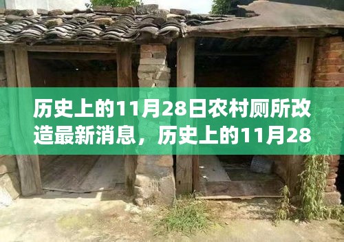 歷史上的11月28日，農(nóng)村廁所改造背后的勵志故事與變革力量最新消息