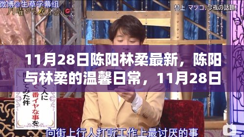 陳陽林柔的溫馨日常，11月28日的快樂時(shí)光記錄