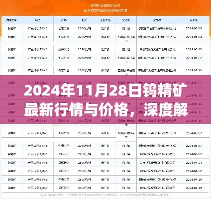 深度解析，2024年11月28日鎢精礦最新行情與價(jià)格展望