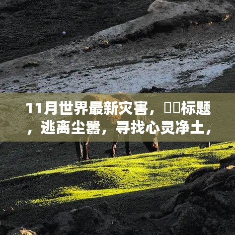 十一月探險之旅，災(zāi)難邊緣的求生與心靈凈土的追尋