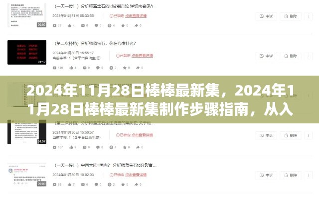 2024年11月28日棒棒最新集制作指南，從入門到精通