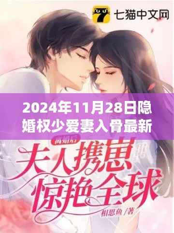 隱婚權(quán)少愛妻入骨深度解析與最新體驗(yàn)報告（2024年11月28日）