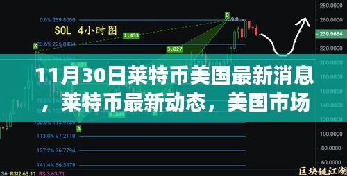 萊特幣美國最新動態(tài)分析，市場趨勢下的正反觀點(diǎn)探討（11月30日）