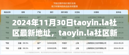 2024年11月30日taoyin.la社區(qū)新址展望，機(jī)遇與挑戰(zhàn)并存