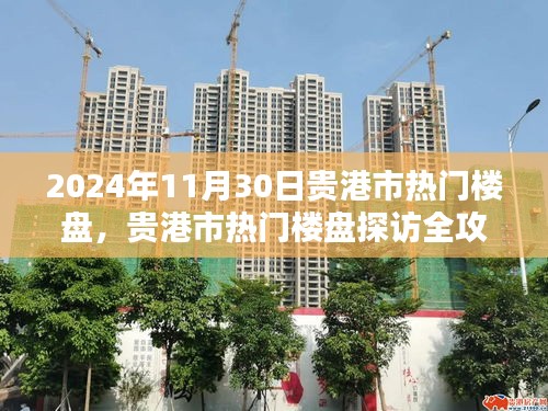 貴港市熱門樓盤探訪全攻略，購房指南（2024年11月30日）