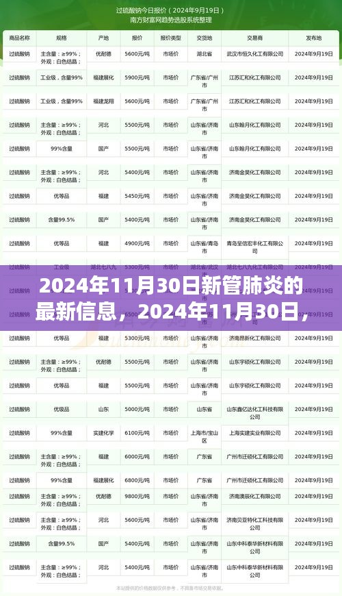 2024年11月30日新管肺炎最新動態(tài)，揭示最新篇章