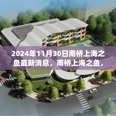 南橋上海之魚(yú)，溫馨日常與深厚友情的見(jiàn)證（最新消息，2024年11月30日）