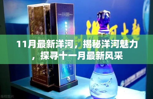 揭秘洋河魅力，十一月最新風采展示