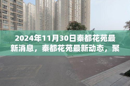 秦都花苑最新動態(tài)揭曉，2024年11月30日的最新消息與觀點(diǎn)爭議聚焦