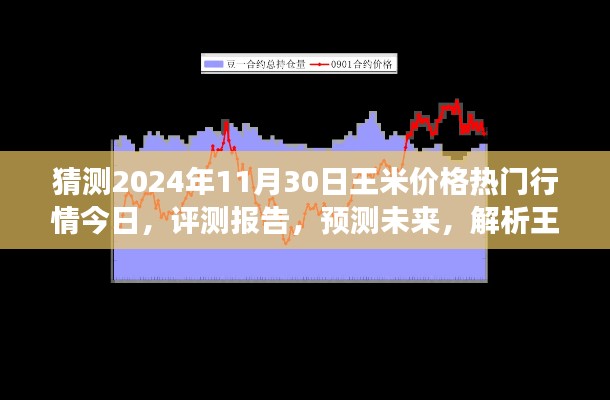 獨(dú)家解析，王米價(jià)格行情預(yù)測至2024年11月30日，今日熱門行情與未來展望評測報(bào)告