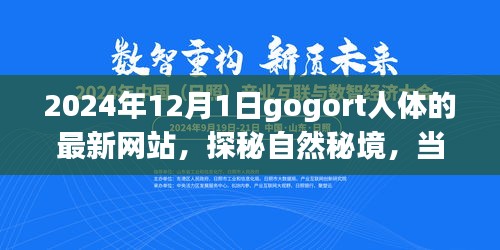 探秘gogort人體奧秘，心靈遇見奇妙旅程的秘境網(wǎng)站（最新更新）