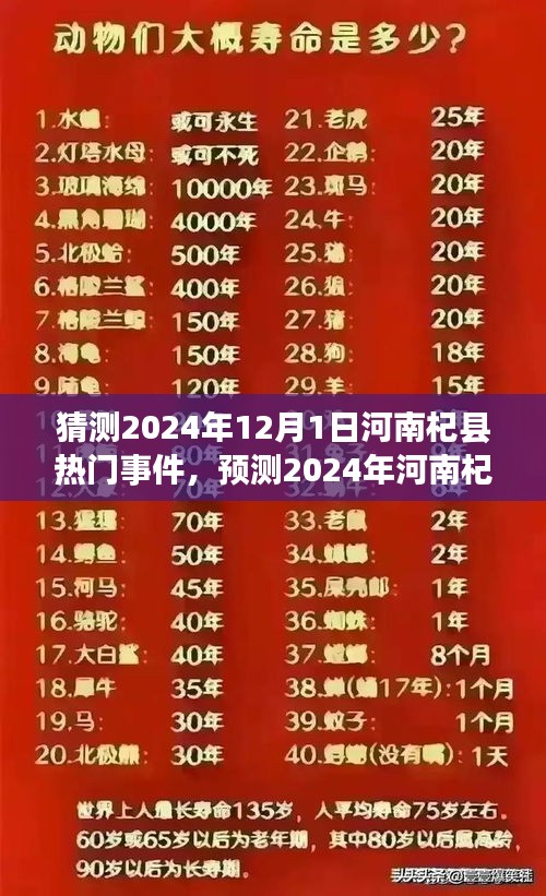 河南杞縣熱門事件預(yù)測，多方觀點下的探討與展望（2024年12月1日）