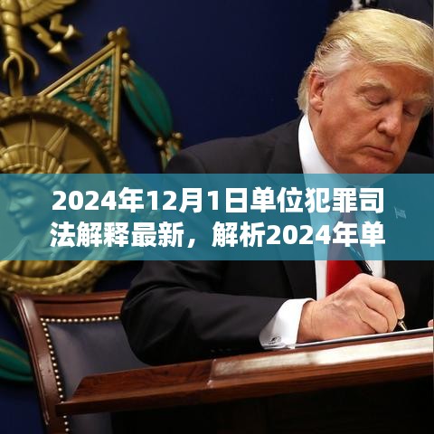 深度解析，2024年單位犯罪司法解釋最新動態(tài)及三大要點探討