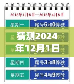 上海未來限行猜想，高架暢想曲與暖心故事，展望2024年12月的新規(guī)定