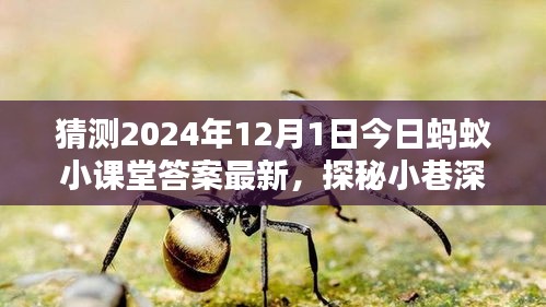 探秘螞蟻小課堂答案背后的神秘小店，2024年12月1日小巷深處的獨特風味揭曉