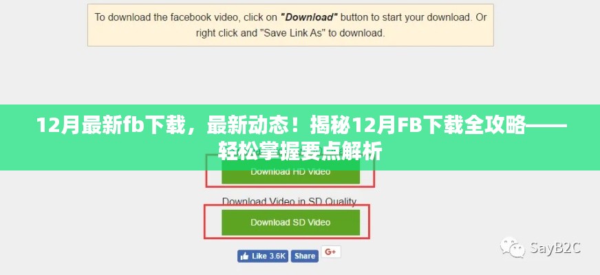 揭秘，最新動(dòng)態(tài)下的FB下載全攻略，輕松掌握要點(diǎn)解析