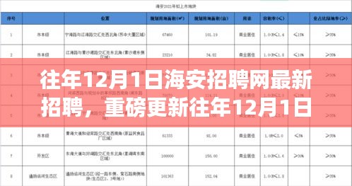 往年12月1日海安招聘網(wǎng)最新職位信息揭秘，求職者福音