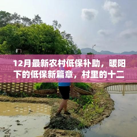 農(nóng)村低保補助新篇章，暖陽下的十二月溫情紀事