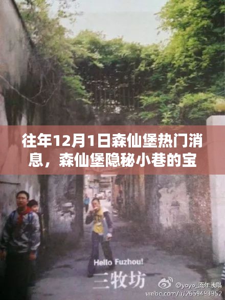 揭秘森仙堡隱秘小巷寶藏，十二月一日獨家新聞與特色小店的非凡魅力