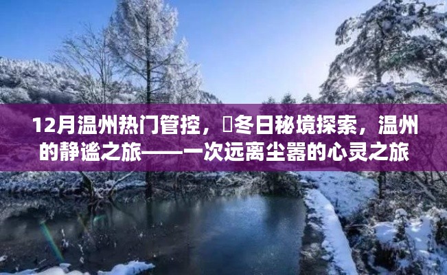 溫州冬季秘境探索，靜謐之旅的心靈之旅，12月熱門管控下的冬日秘境體驗(yàn)