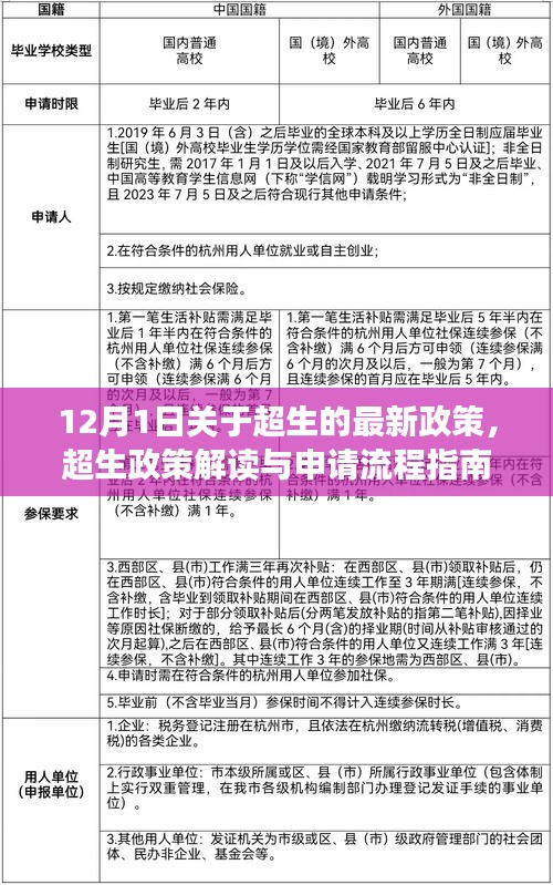 超生政策解讀與申請流程指南，最新政策解讀適用于初學(xué)者與進(jìn)階用戶