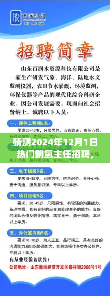 把握未來，挑戰(zhàn)熱門制氧主任崗位，2024年招聘展望與自我超越之路