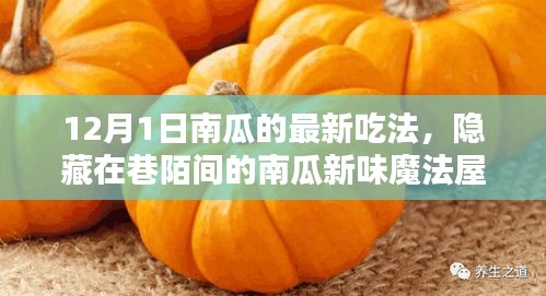 12月1日南瓜新味魔法屋，探秘南瓜盛宴的隱藏魅力