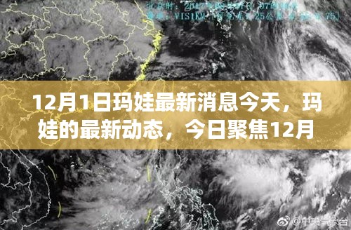 聚焦今日，瑪娃最新動態(tài) 12月1日消息