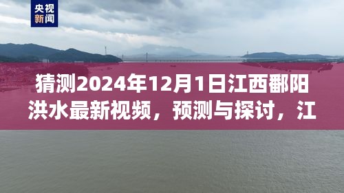 江西鄱陽湖區(qū)洪水現(xiàn)象觀察與預(yù)測，聚焦2024年12月1日的最新視頻探討