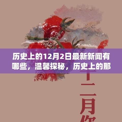 溫馨探秘，歷史上的十二月二日最新新聞與日常小故事回顧