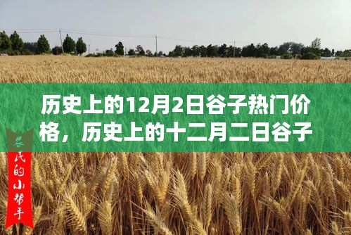 深度解析，歷史上的谷子熱門價格變遷與背景事件影響——十二月二日的回顧與剖析