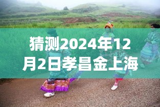 孝昌金上海2024年12月2日探尋自然秘境，旅行熱潮預測，奇妙之旅即將啟程