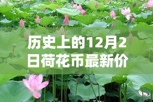 小紅書(shū)帶你穿越金融時(shí)光，歷史上的荷花幣最新價(jià)格表（12月2日版）