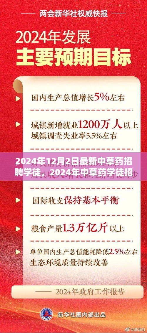 2024年中草藥學(xué)徒招聘趨勢(shì)與個(gè)人選擇深度探討