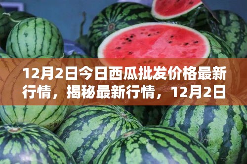 揭秘最新行情，深度解析12月2日西瓜批發(fā)價(jià)格走勢及最新行情