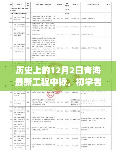 歷史上的12月2日青海最新工程中標(biāo)，初學(xué)者與進(jìn)階用戶的全程指南